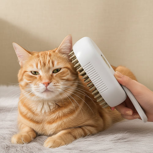 New Pet Spray Comb for Cats and Dogs Pet Electric Spray Hair Removal Comb One Key Spray Anti-Flying Massage Brush, Clean Massage
