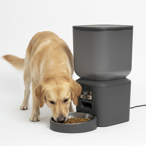 5G Automatic Cat Feeder with 1080P Camera Video Wifi Cat Food Dispenser Pet Smart Voice Recorder Remote Control Pet Auto Feeder